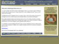 multilingualmicrosite.com