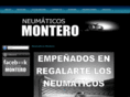 neumaticosmontero.com