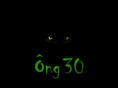ong30.com
