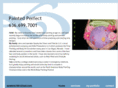 paintedperfectstl.com