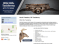wildhillstaxidermy.com