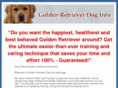 goldenretrieverdoginfo.com