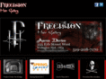precisionhairgallery.com