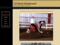 qtsgoldmastercard.com