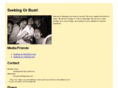 seekingorbust.com