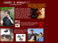 caseyswebsite.net