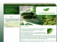 kosherpickles.net