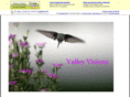 valleyvisions.org