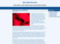 best-debt-recovery.com