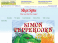 magicspace.com