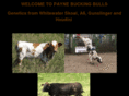 paynebuckingbulls.com