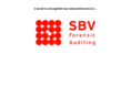 sbv-auditing.com