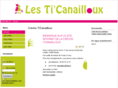 ticanailloux.org