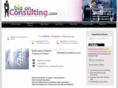 bidonconsulting.com