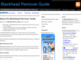 blackheadremoverguide.com