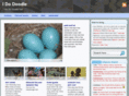 idodoodle.com