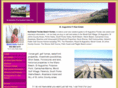 nancyashe.com