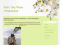 palmskyvideoproductions.com