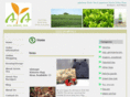 ayagreentea.com