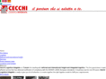 cecchilogistics.com