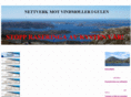 motvindmoellerigulen.net