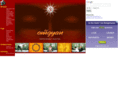 omgyan.com