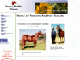 temons.com