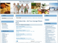 thealternativecure.com