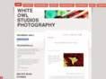 whiteowlstudios.com