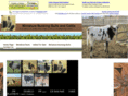 4humanitiessake.com