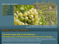 bargesingermany.com