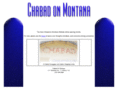 chabadonmontana.org