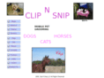clipnsnip.net
