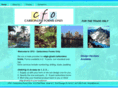 cfocarbonlessforms.com