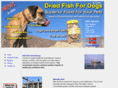 driedfishfordogs.com