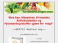 levbedrelenger.com
