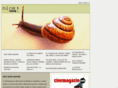 niceweek.com