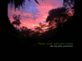 peruecoexpeditions.com