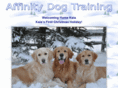 affinitydogtraining.com