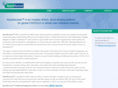 assetaccess.net
