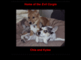 evilcorgis.com