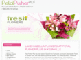 gogreenflowers.com