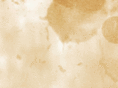 tim-project.com