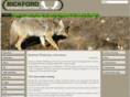 bickfordadventures.com