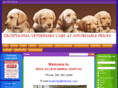 bocavillageanimalhospital.com