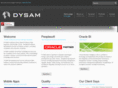 dysam.com