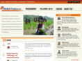 icicifellows.com