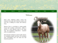 memoryfarmshowhorses.com