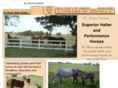klshowhorses.com