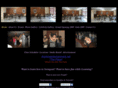swinglinedance.com